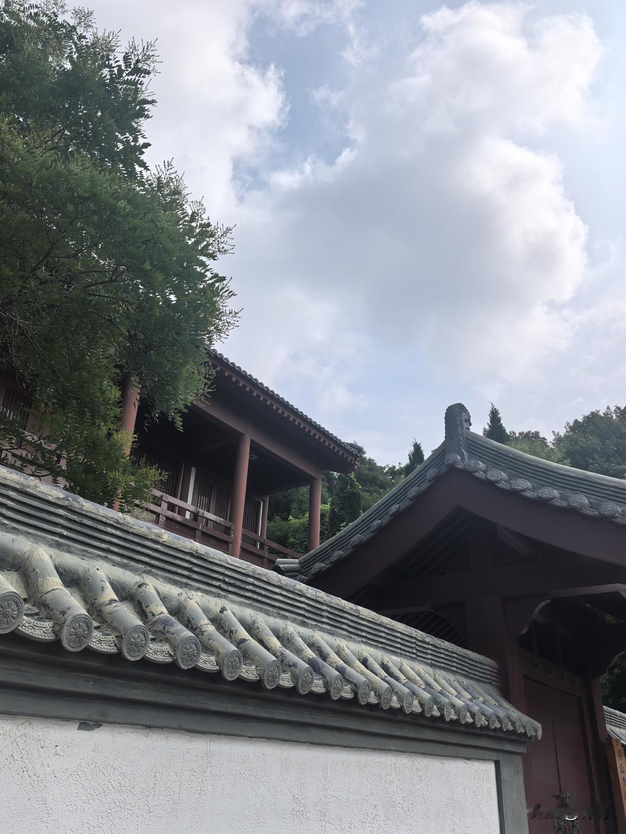 酷热难当＋感冒咳嗽，难熬！