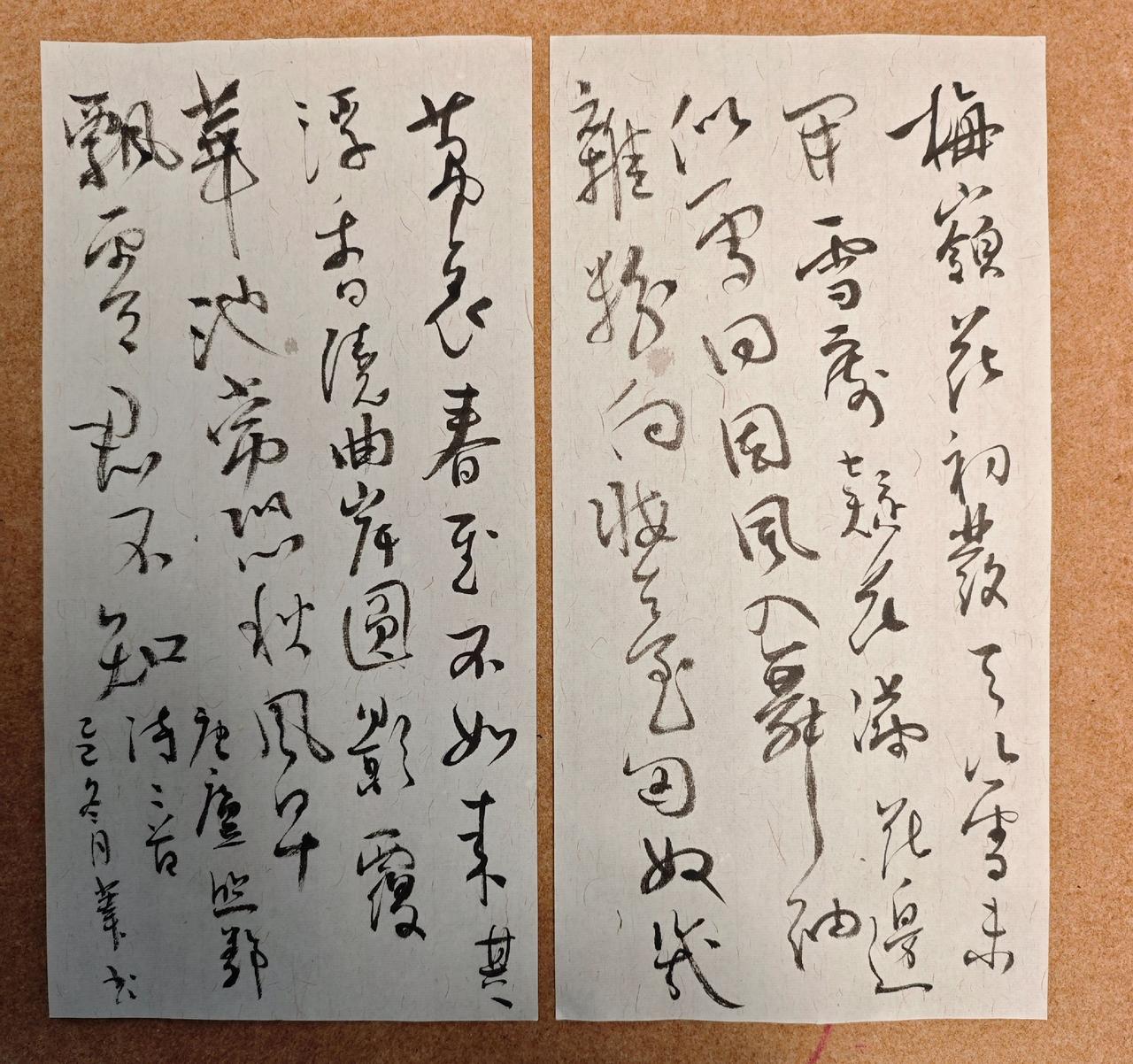 梅花落
梅岭花初发，天山雪未开。
雪处疑花满，花边似雪回。
因风入舞袖，杂粉向妆