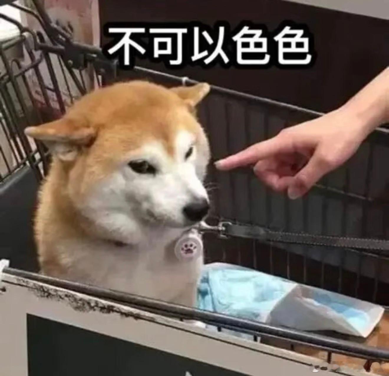 方小驰！怎么纯情又可爱！喜欢上水渠以后更可爱了啊啊啊啊！ 