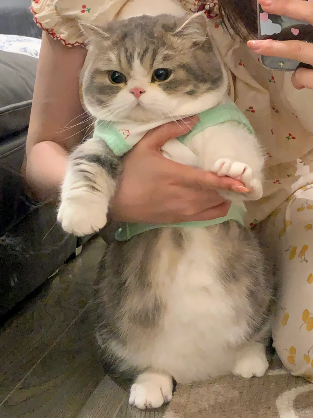 今天出去玩被别的小猫蛐蛐了