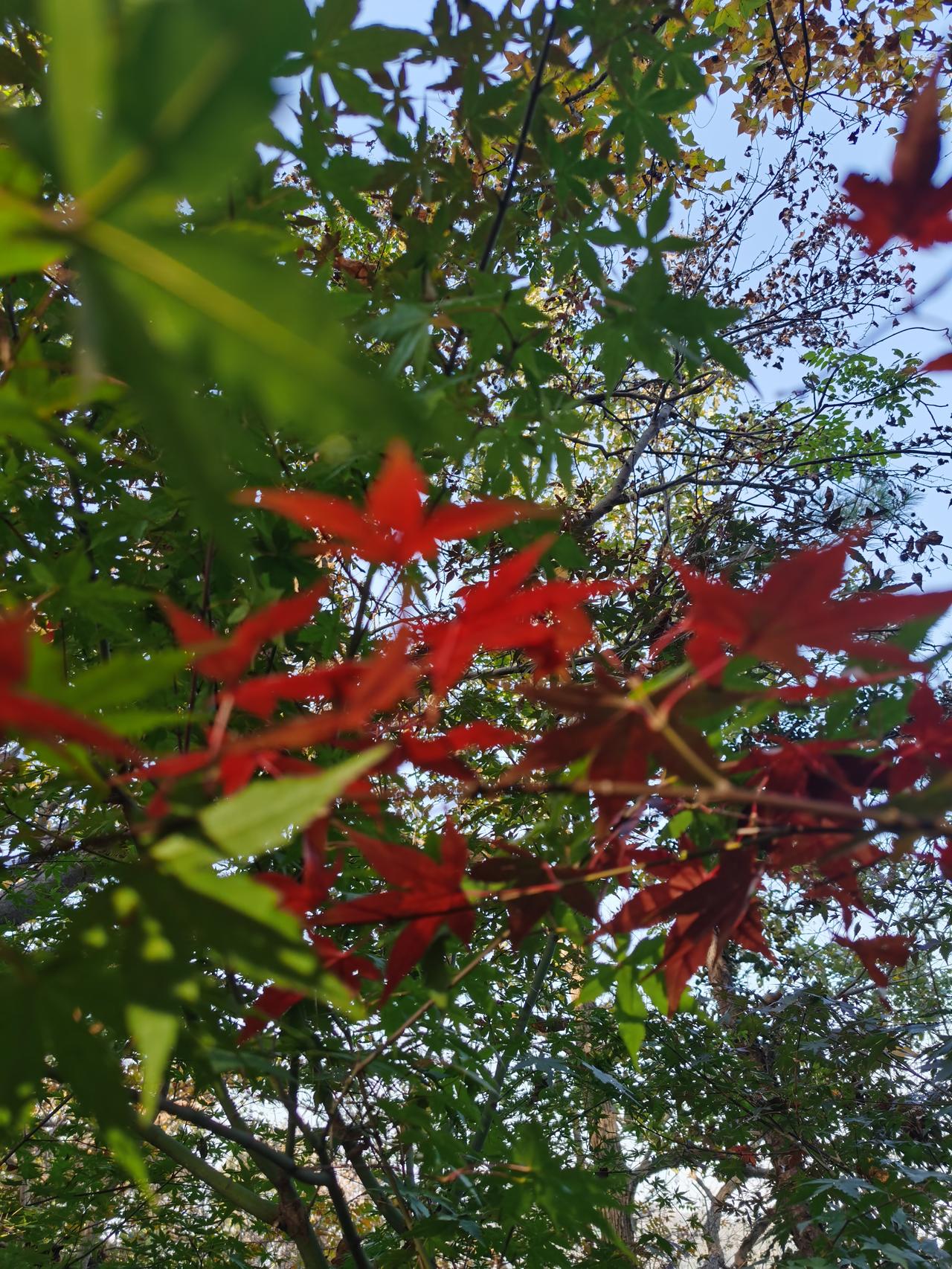 春天的脚步近了，春天的感觉来了！周末去田野里转转吧！