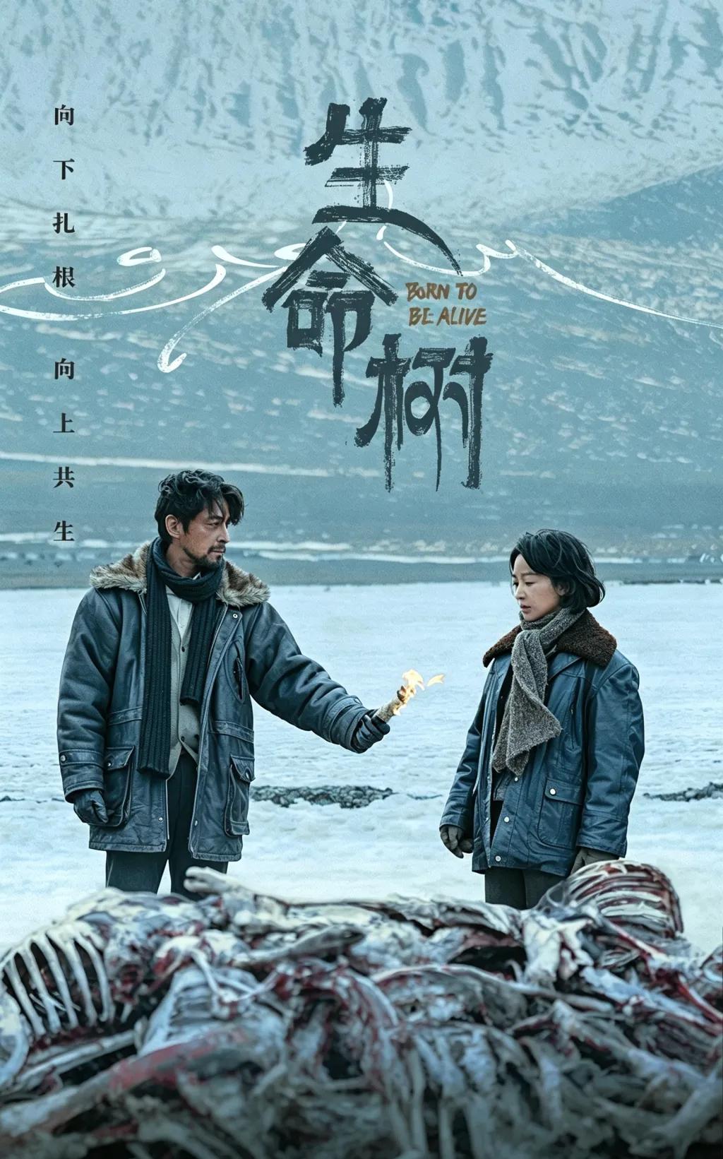 电视剧生命树带来的青海旅游：
   电视剧《生命树》开播后，青海旅游搜索量上涨2