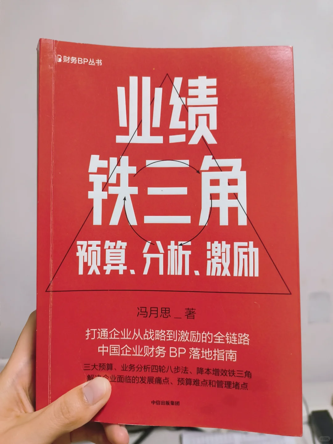 当我在看这本书时我在看什么？