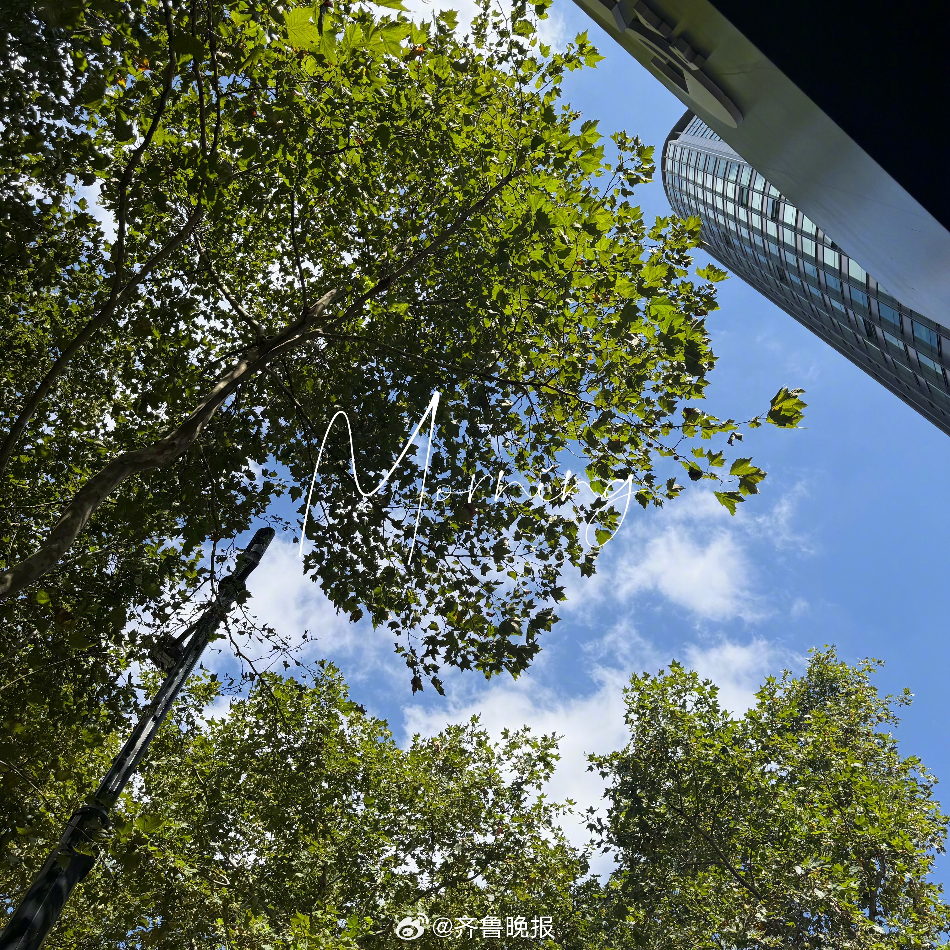 心向云海步履生风[太阳]#早安# ​​​