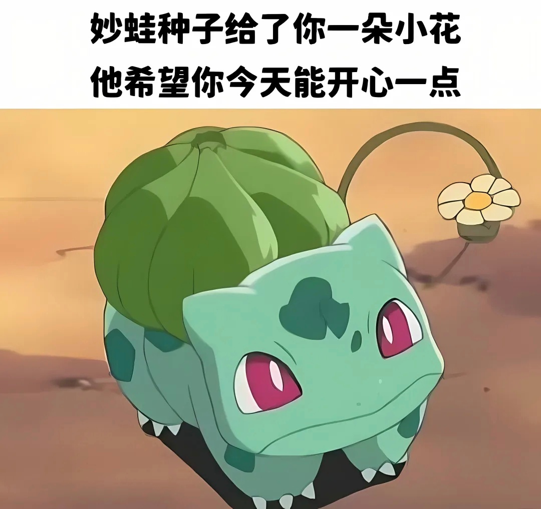 🌼 ​​​