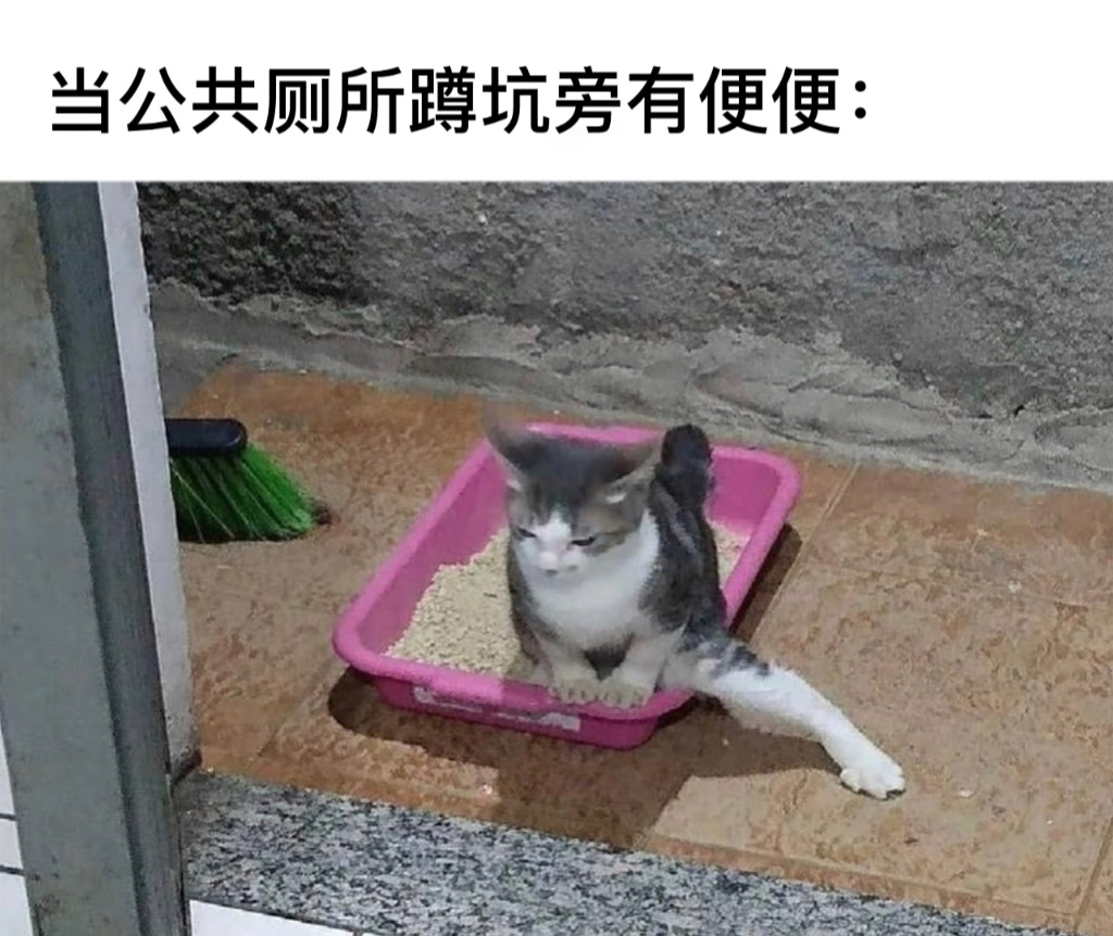 劈一个#今日memes# //#我的春日狂欢日记# ​​​