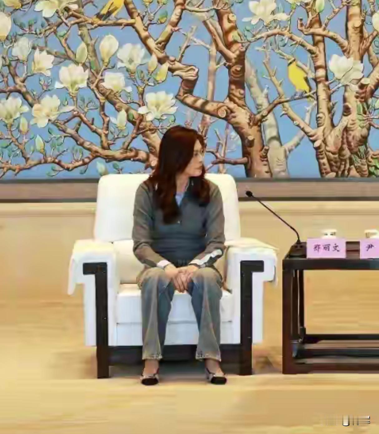 通水通电通桥！郑丽文访问最后一天，大陆发布实质性措施 4月12号是郑丽文此行访问