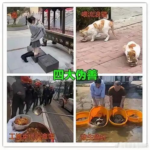 为啥这四种都是伪善？ ​​​