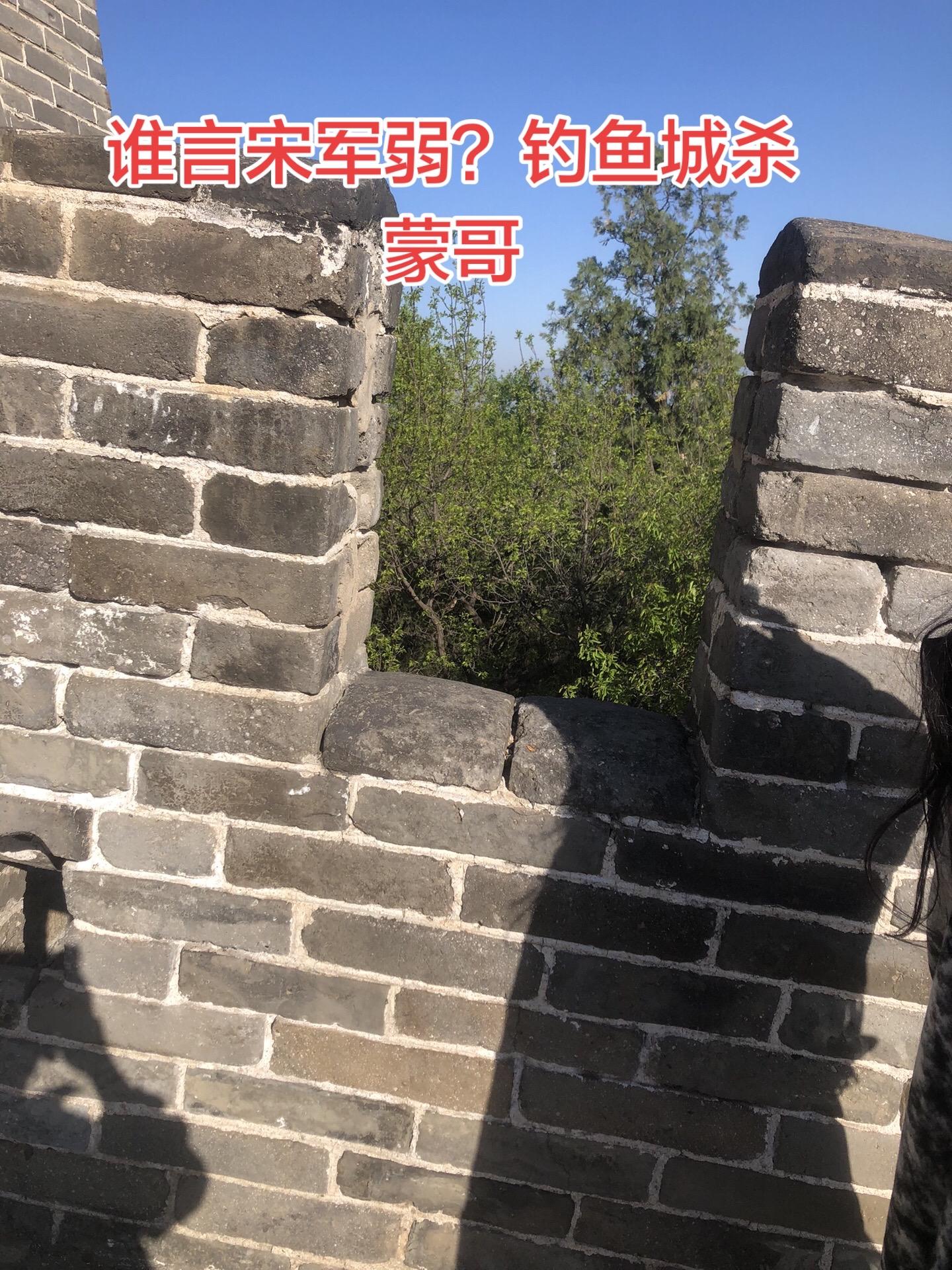 蒙哥之所以要死磕钓鱼城，因为他觉得自己打不下钓鱼城很丢面子，其他的各路...