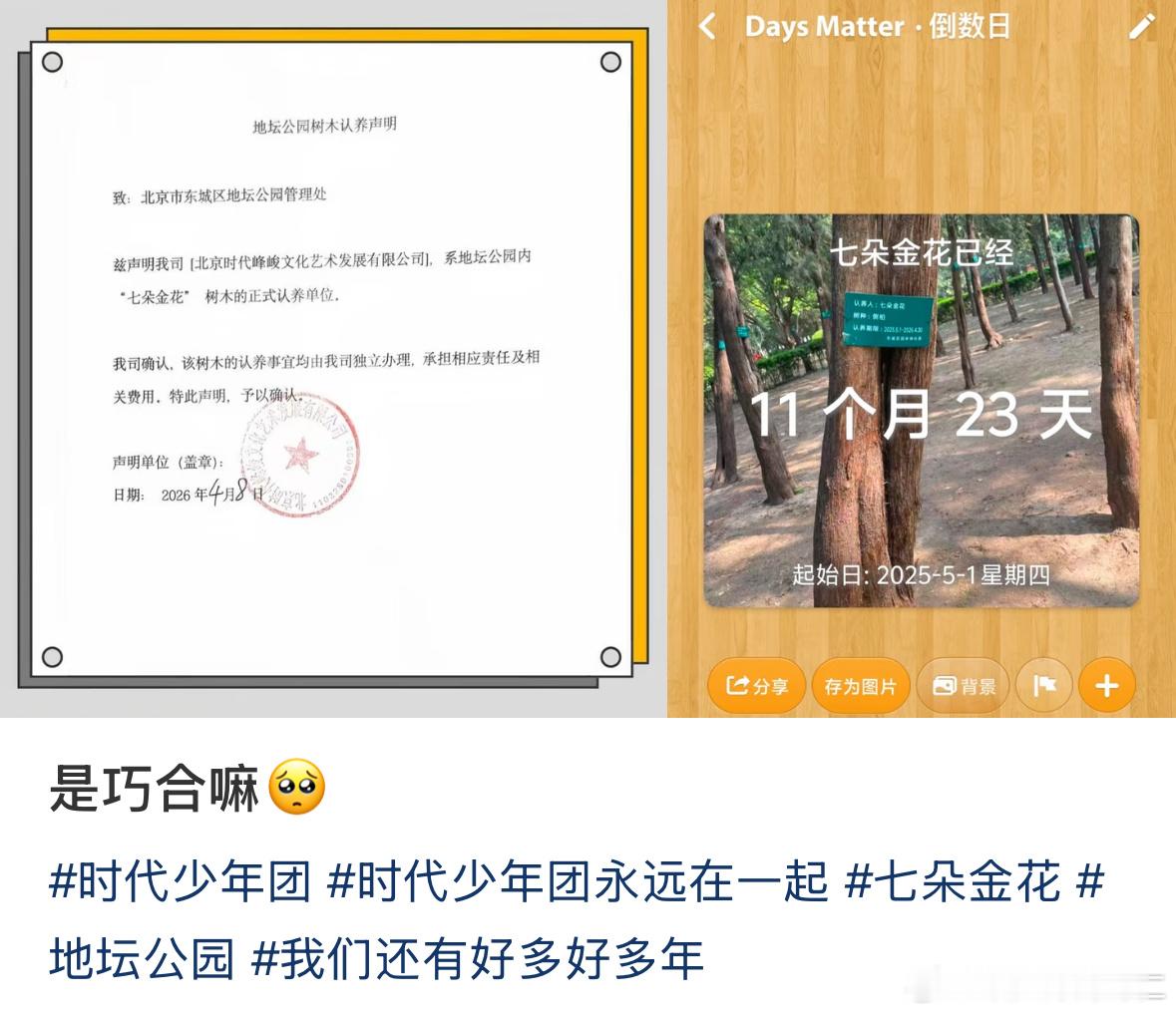 wdf你们说时代少年团到底要干嘛啊 