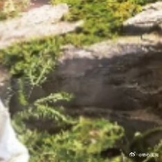 阳光信用 每日一善 愿你以快乐为盾，直面各种艰难险阻。我们常常反复咀嚼生活的琐碎