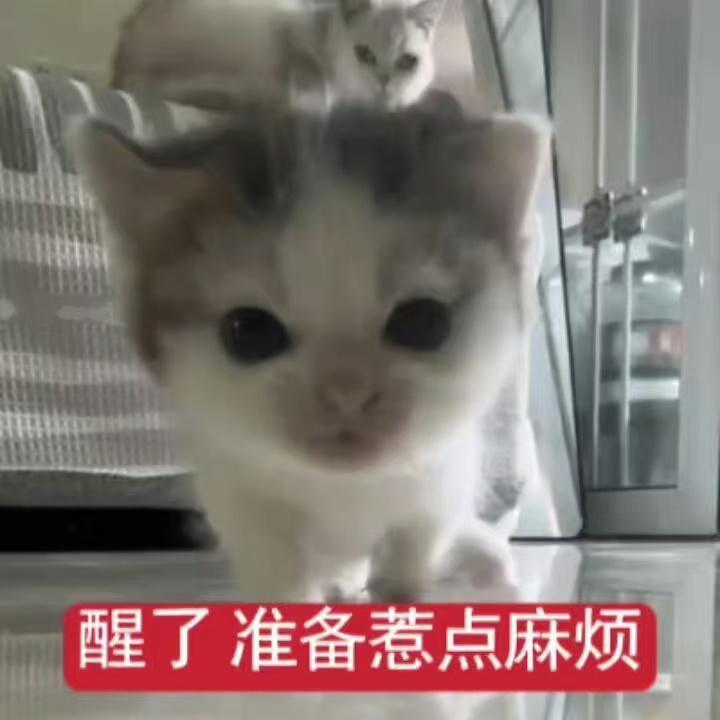 博君一肖 顶流对家相恨100问主持人：欢迎两位顶流老师来到我们的录制现场！肖：大