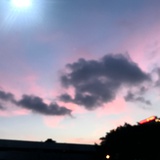 小绿芽热玩体育