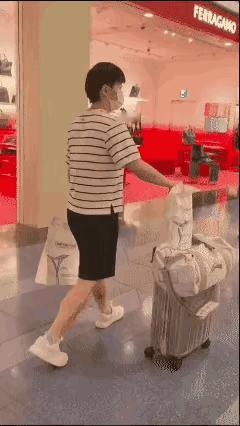 有一次孙颖莎回国后一个记者问莎莎你想家吗，莎莎话想了，我瞬间泪目了，一个孩子天天