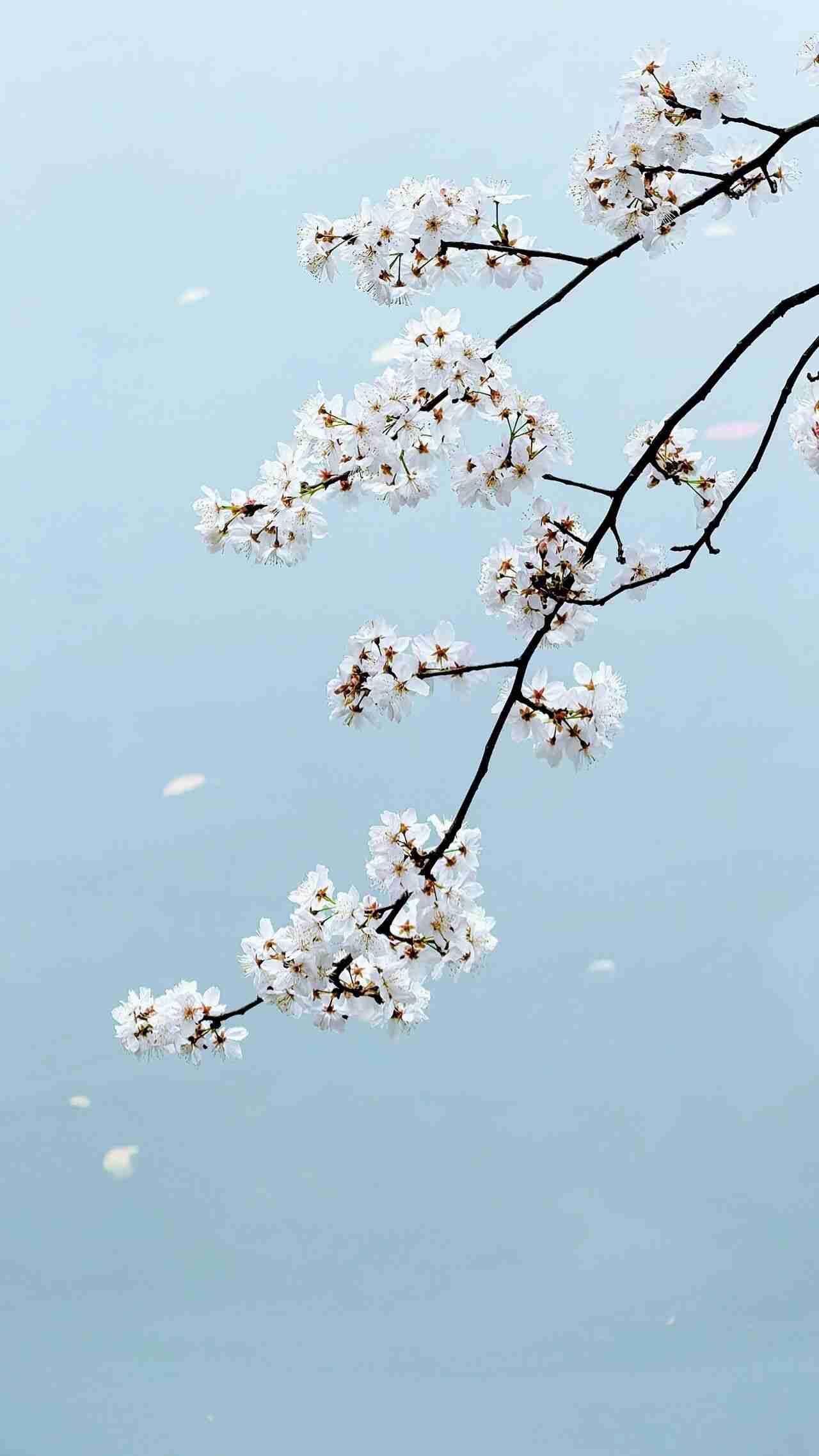 我的今日状态：😁轻松愉快
我这里的天气：☀️晴天