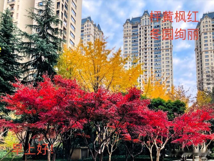 分享一下你随手拍下的照片