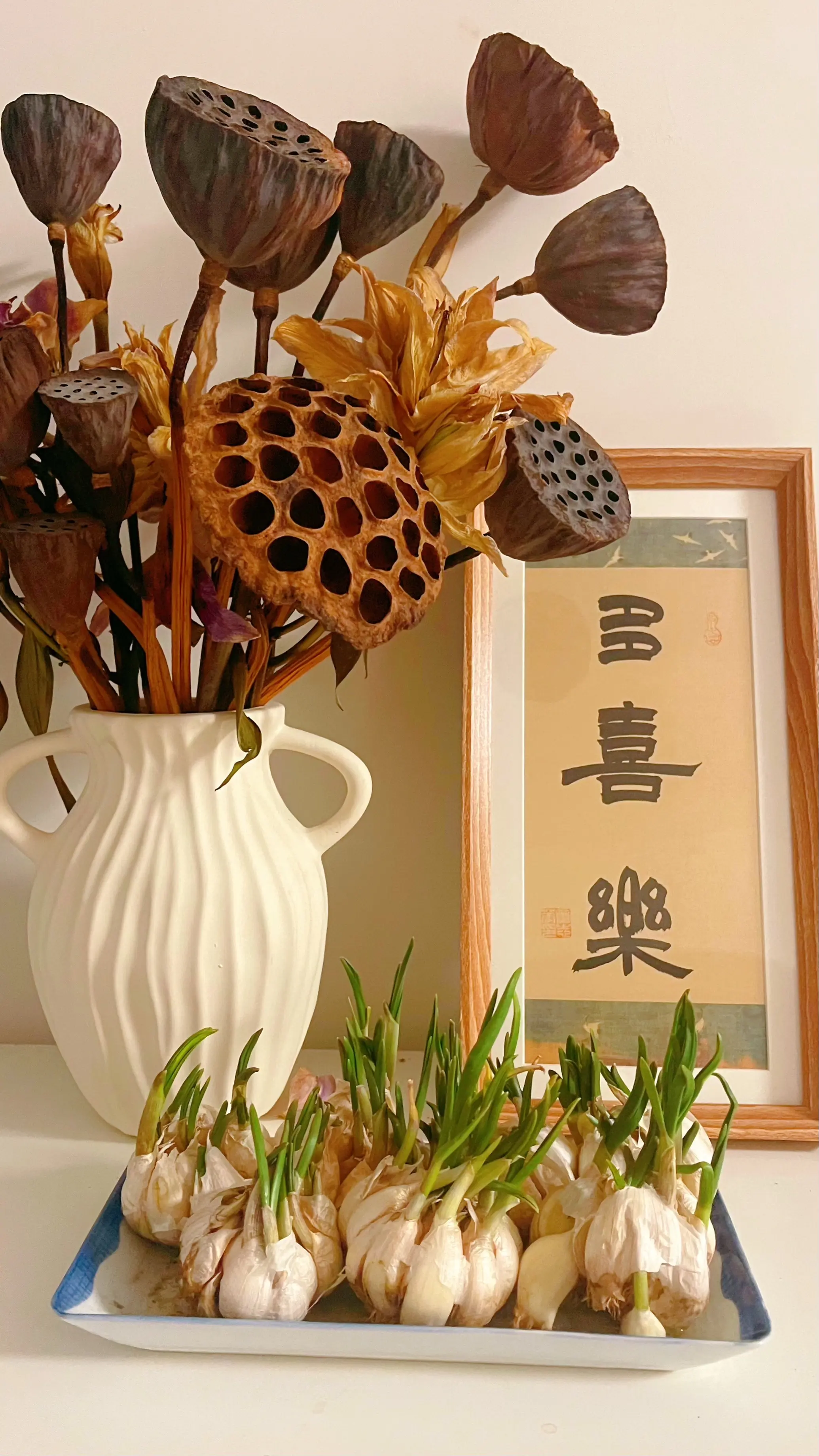 娃儿睡了……老母亲的独处时光……