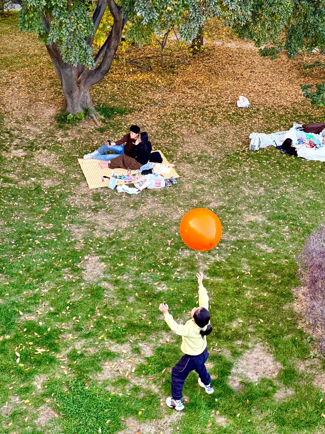 在济南逛公园｜infp会懂的秋日氛围感🍂🍁