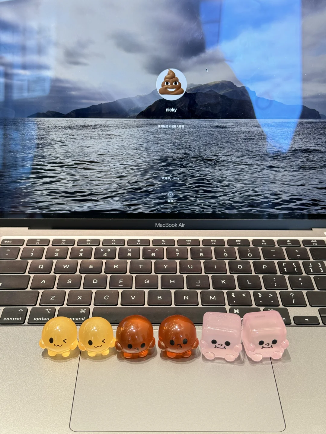 太可爱了吧！ ！ ！喝奶茶送的小摆件