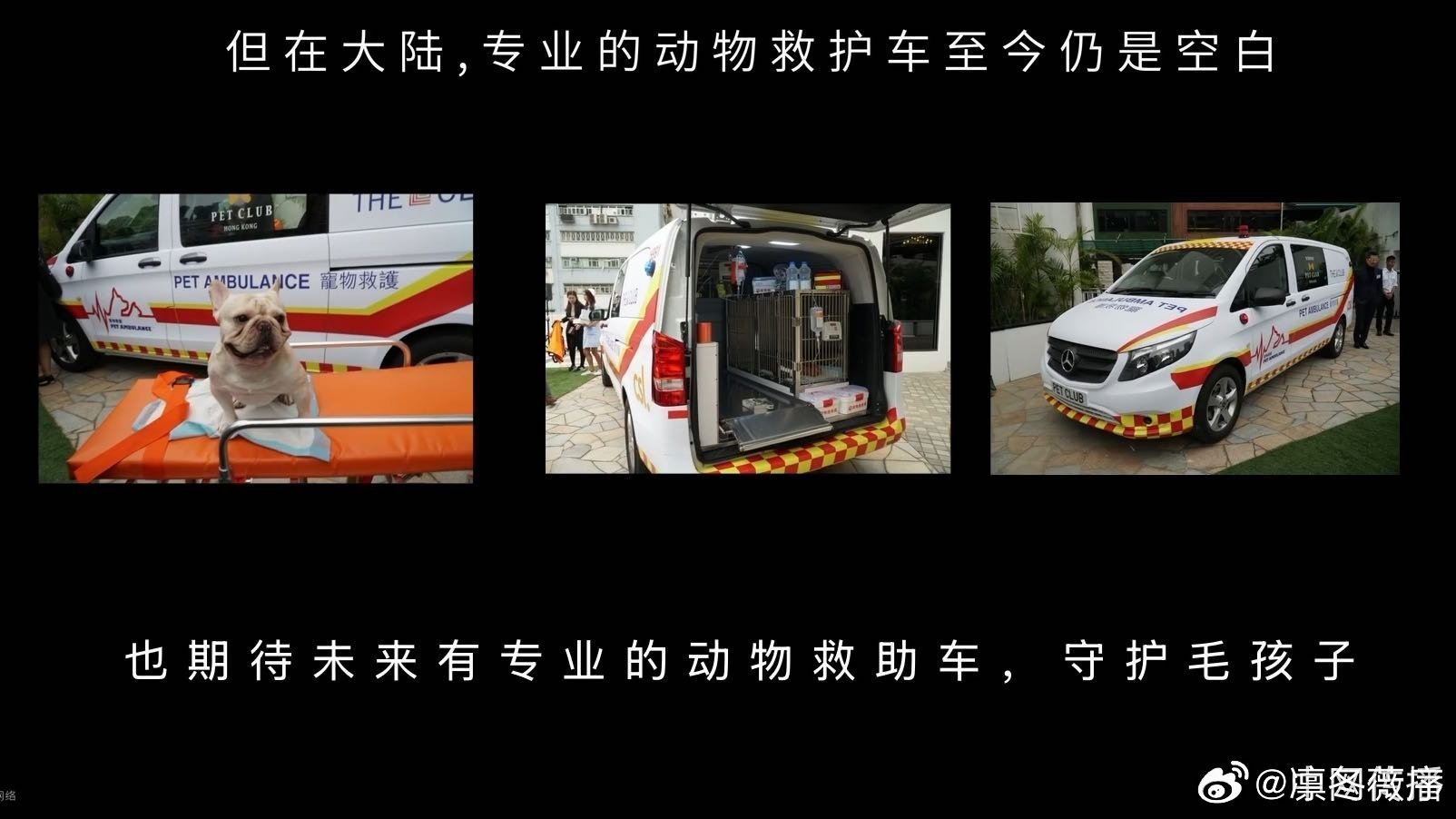 广东的0元宠物救护车 很多人忽略的小生命，他却拼尽全力守护，免费转运、及时救助，