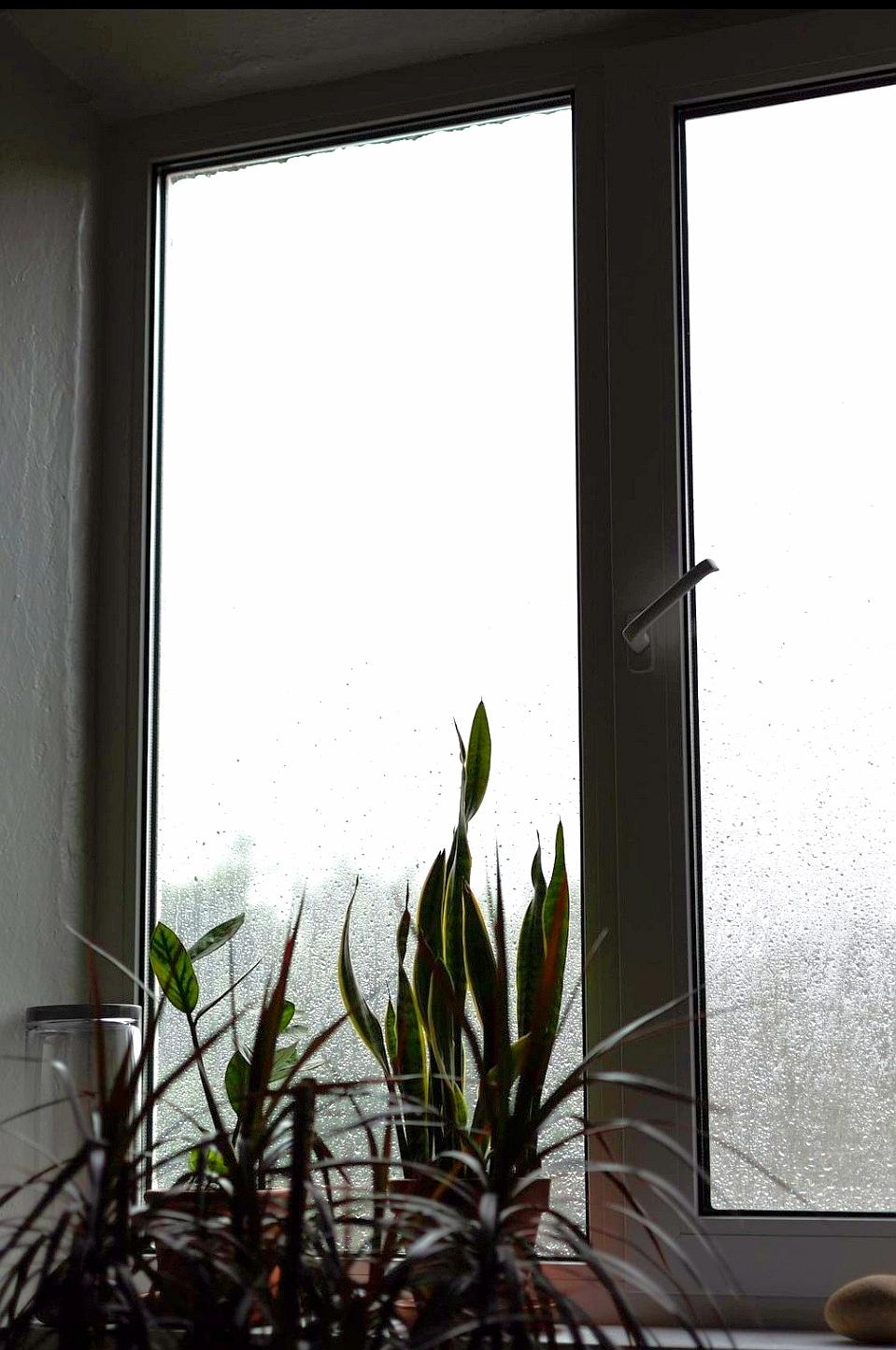 雨丝打湿窗台，
缓缓漫洇开来，
把那些没说出口的告白，
也滞阻在了窗外。