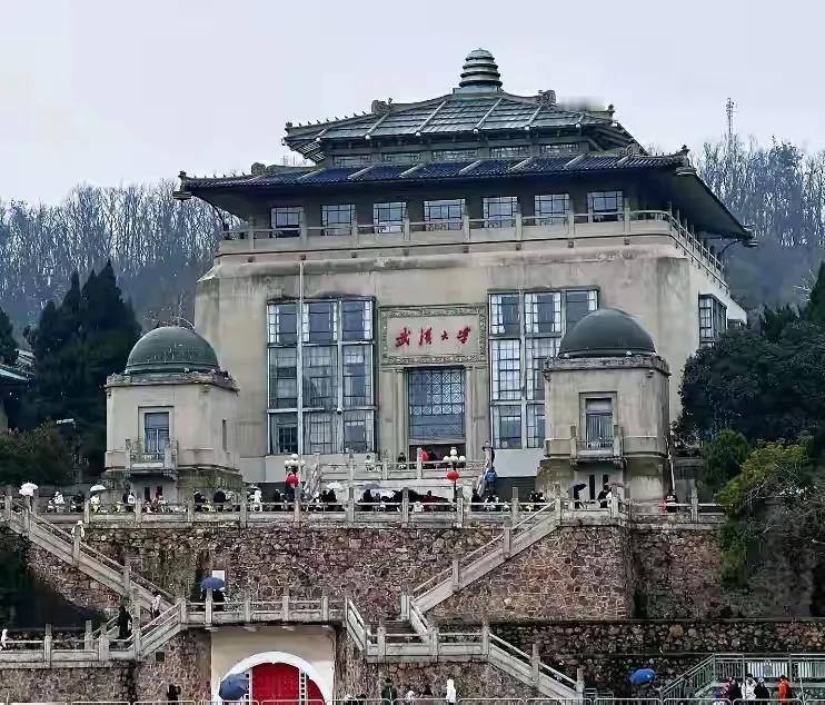 W大图书馆骚扰案，原来是这样的。

那天，杨某某正在家里休息，突然接到了记者的电