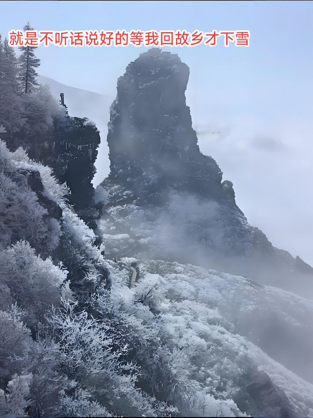 梵净山失约了，说好的等我回来才下雪，怎么变挂了呢？#梵净山