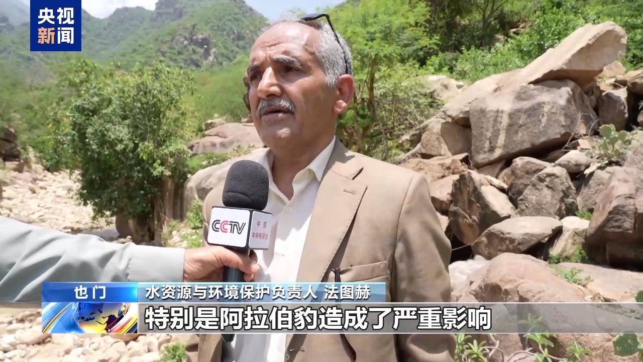 5月11日也门打了十年仗，山里的豹子也快撑不住了，战争之外，没有人注意到的那场生