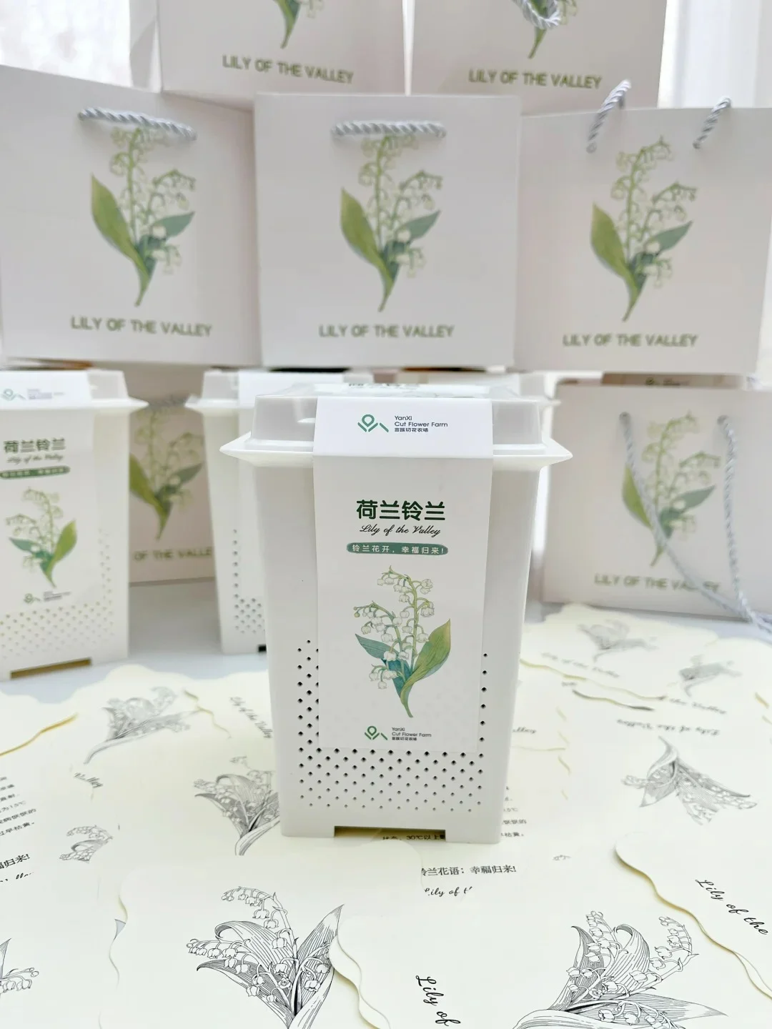 一起种铃兰吧，收获一个白色铃铛的春天