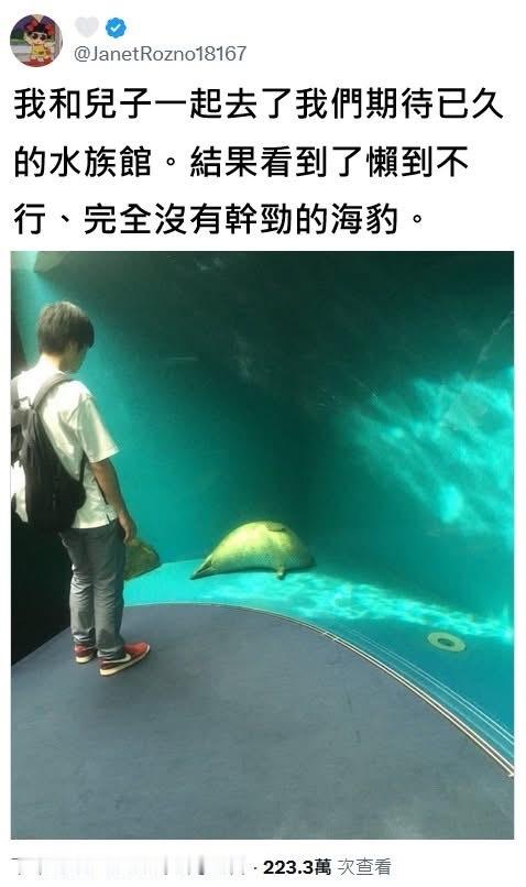 海豹敷衍营业 