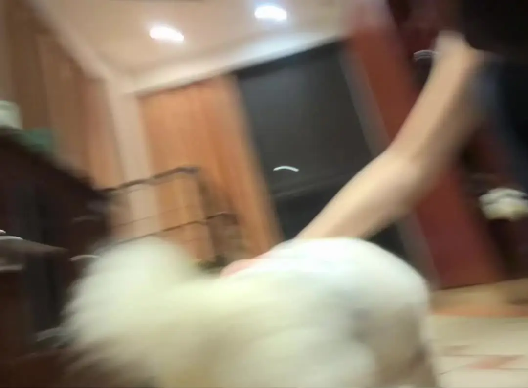 我的一天