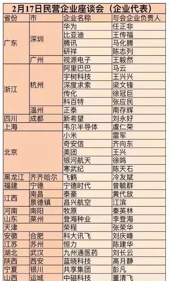 合肥最具代表性的民企，竟然是科大讯飞。
这次全国民营企业代表大会，安徽仅一家上榜