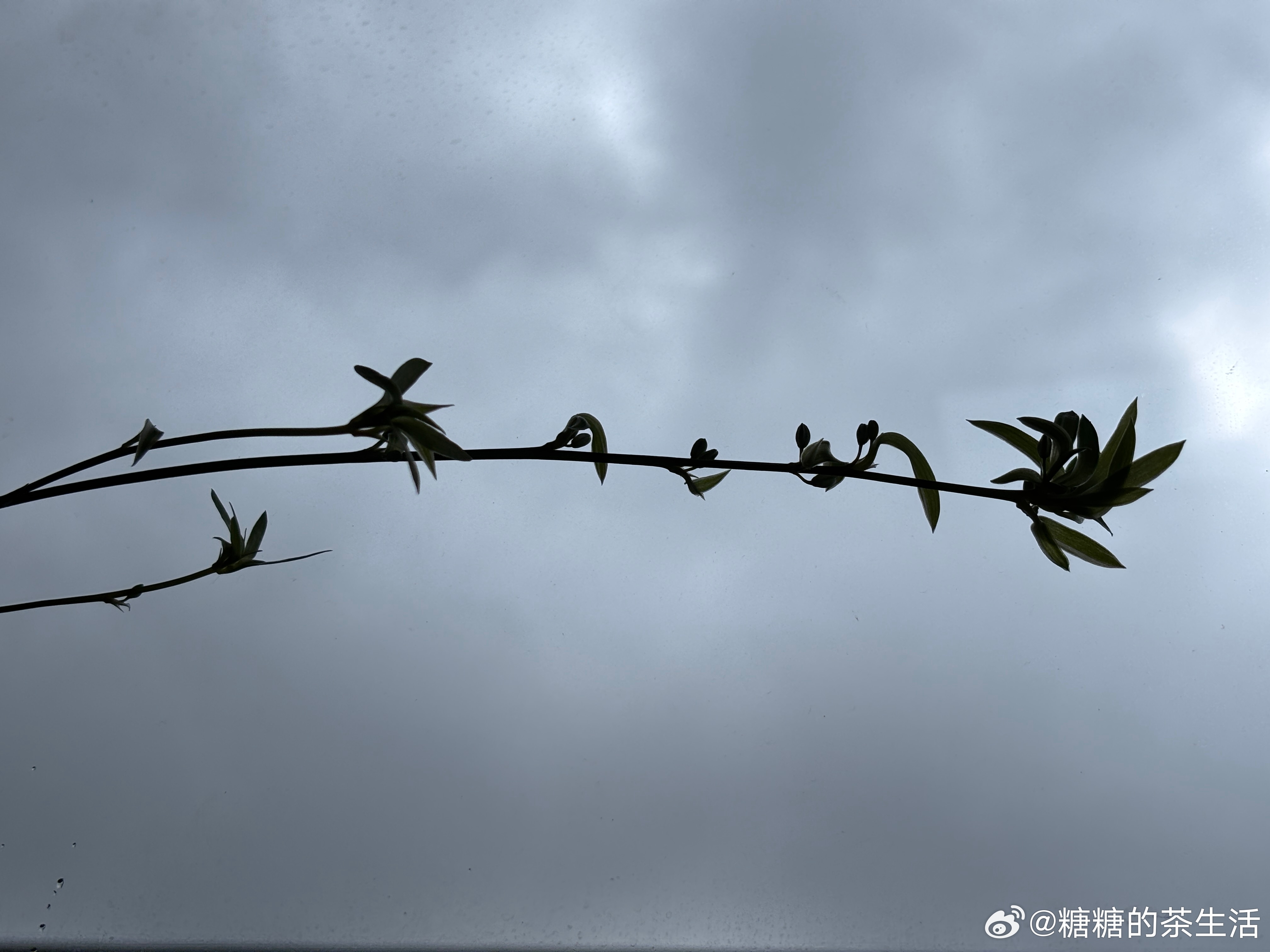 酷热过后总会迎来一阵雨，路，大概也是一样的吧，总会有平顺的时候。💪 