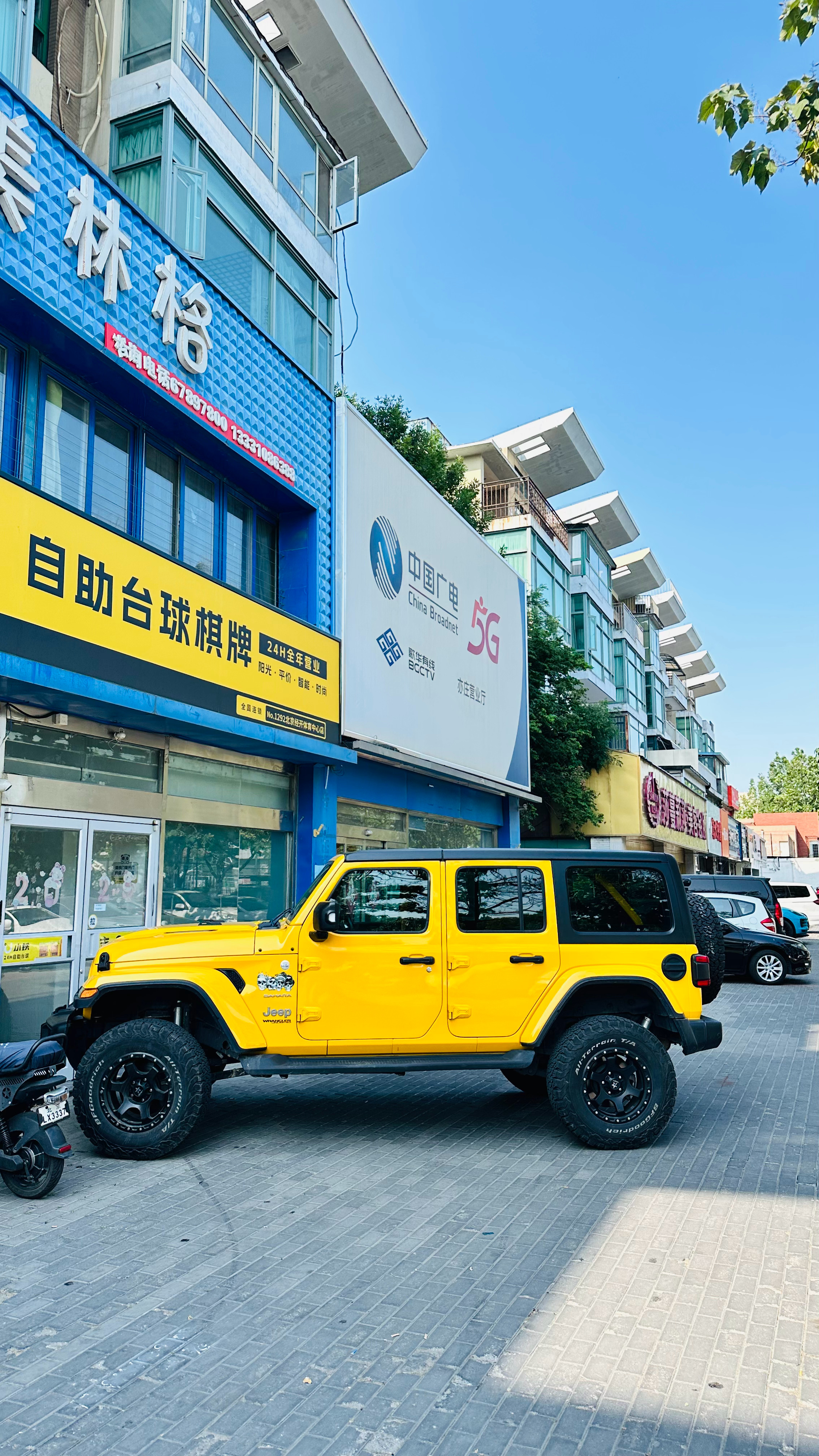 我的大黄跟台球厅招牌撞色了～ ​​​