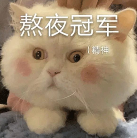 想不到吧，我还没睡。还有夜猫子吗？在干嘛？[喵喵] 