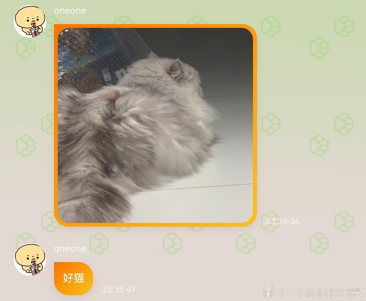 不丢[超话] 好猫😺 ​​​