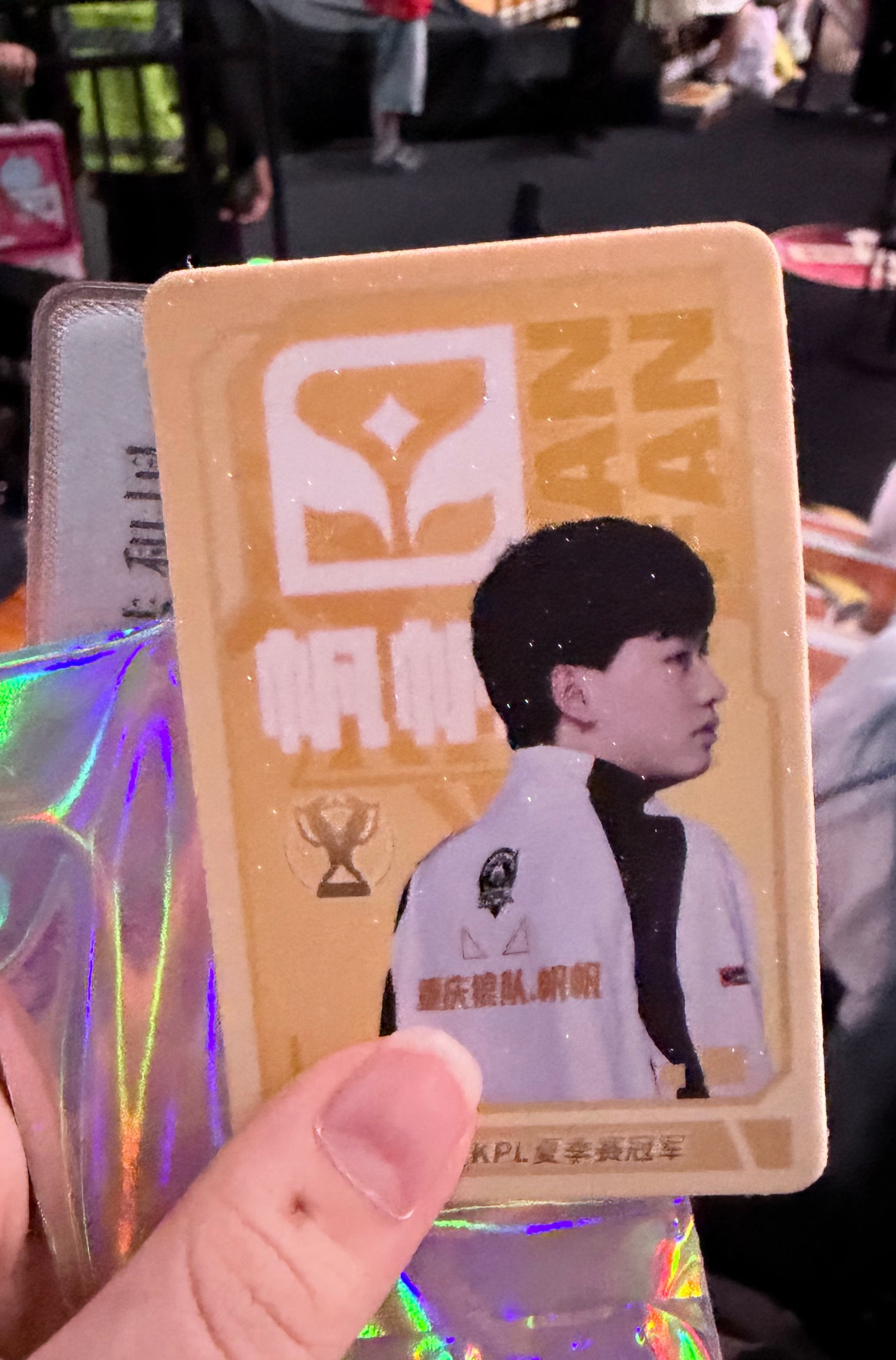 我咋能老抽到杨帆你哥哥 
