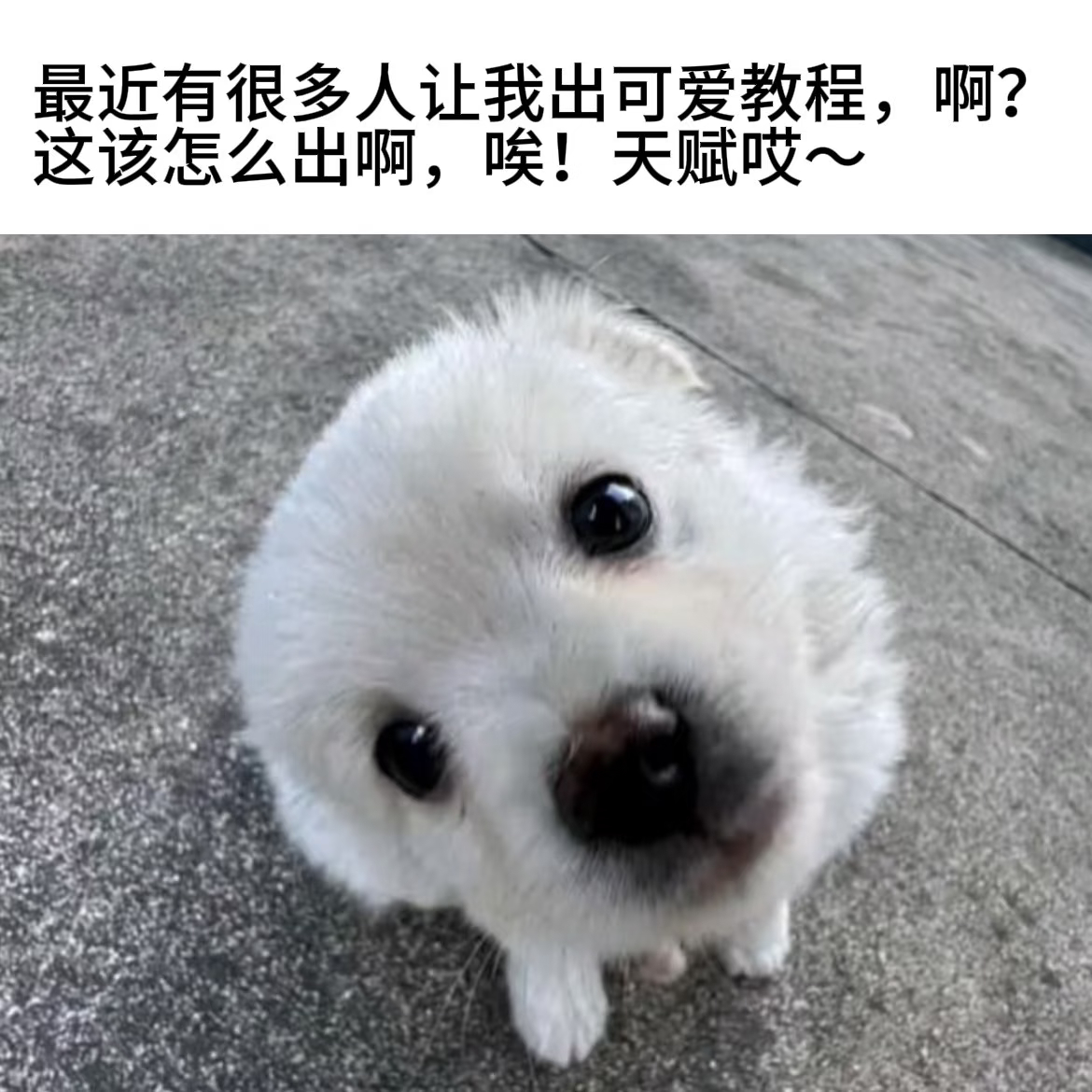 审狗积累U￣ｰ￣U 