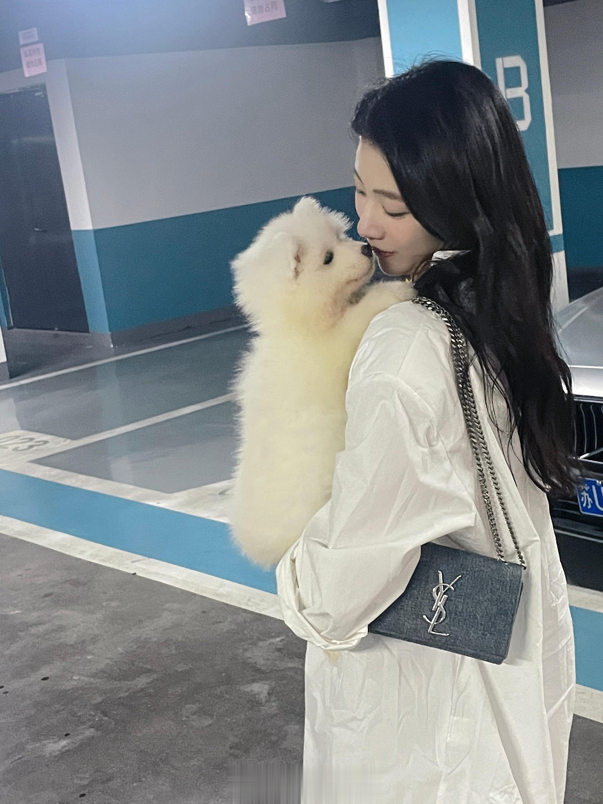 喜提一小宝贝～家庭成员又添一丁yenny 椰妮🐶熊版萨摩耶真的太可爱了 玩具小