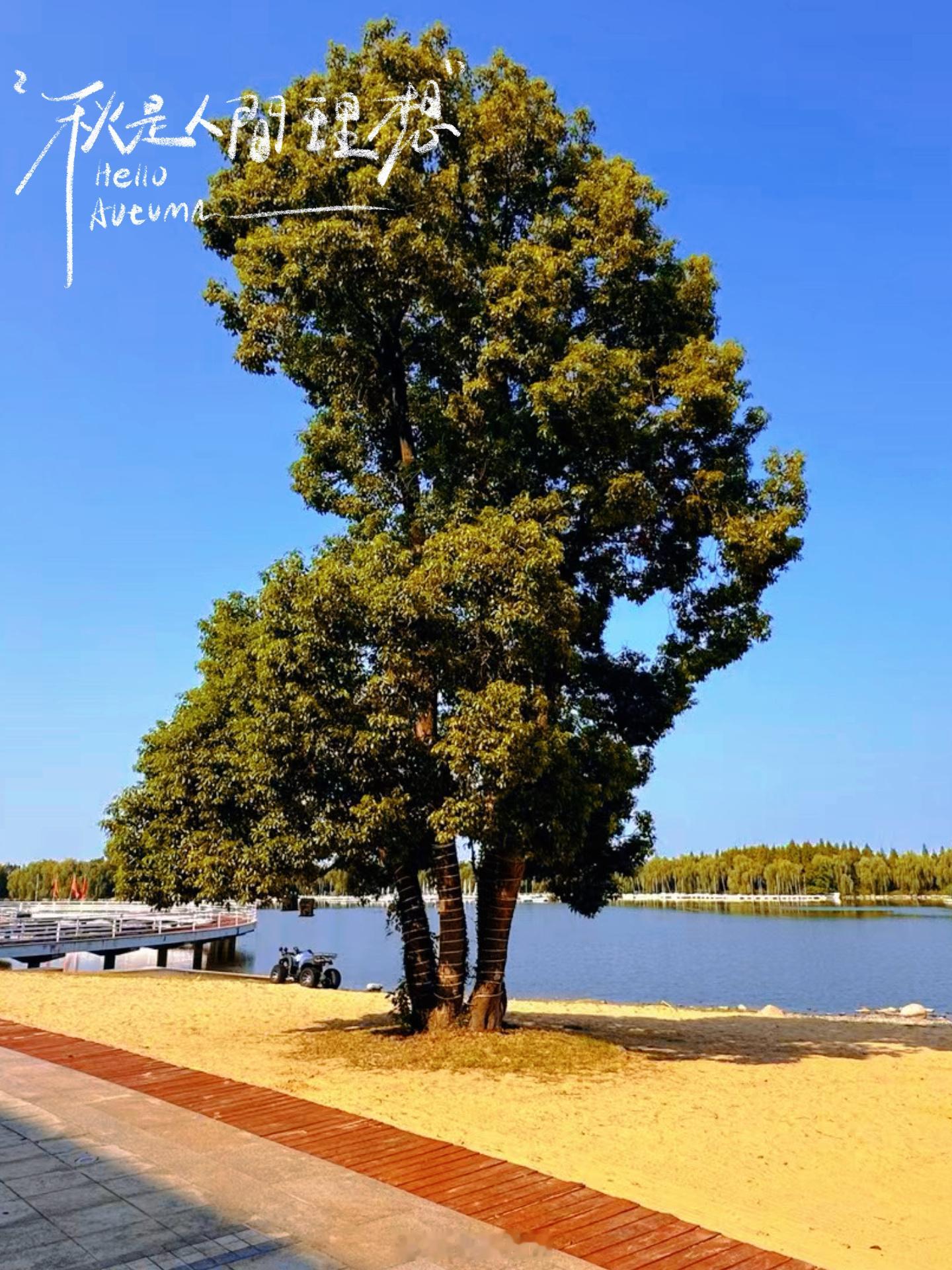 周五🍂秋是人间理想🌿晴空作幕，湖水为伴，风漫过岸，时光缓缓一家三口吃水洗鸡蛋