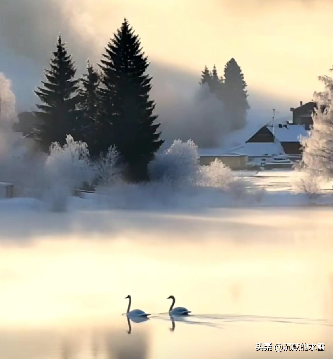 发张你手机里最美的夕阳照可以吗冬日仙境，冰封湖面，天鹅翩翩起舞。