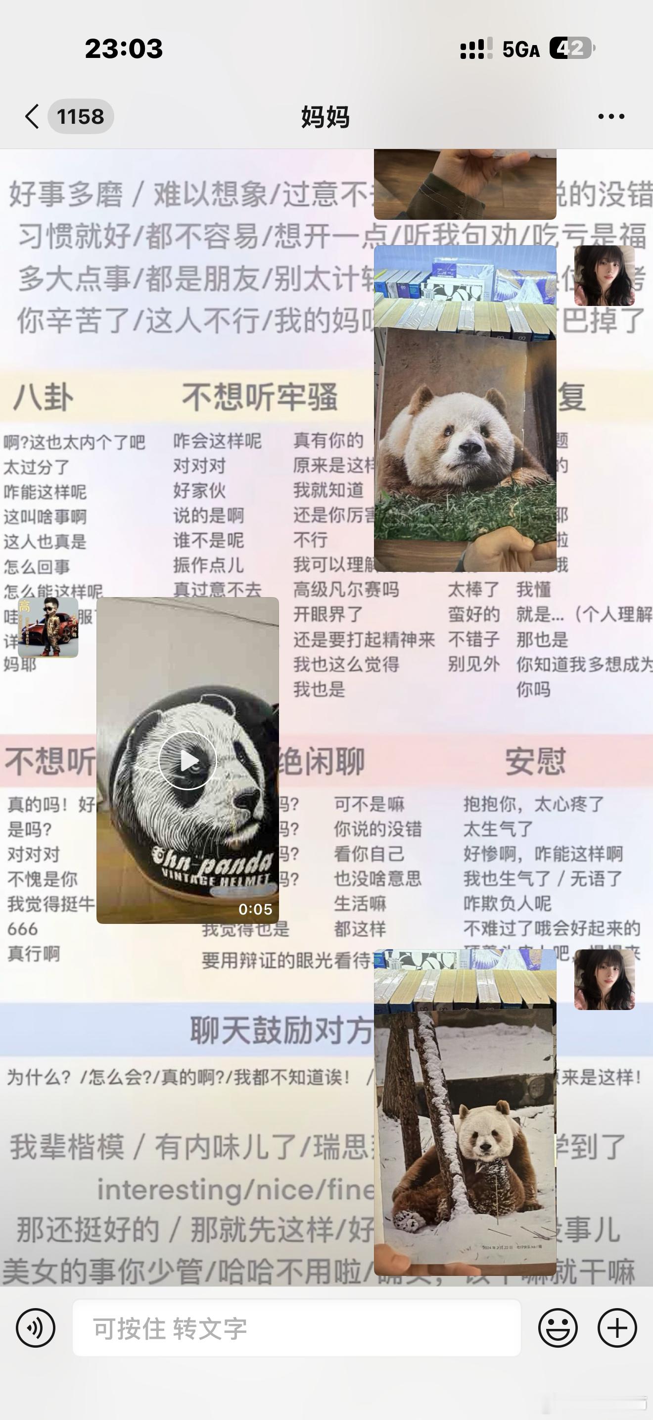我跟我妈对熊猫的喜爱程度by bike： 