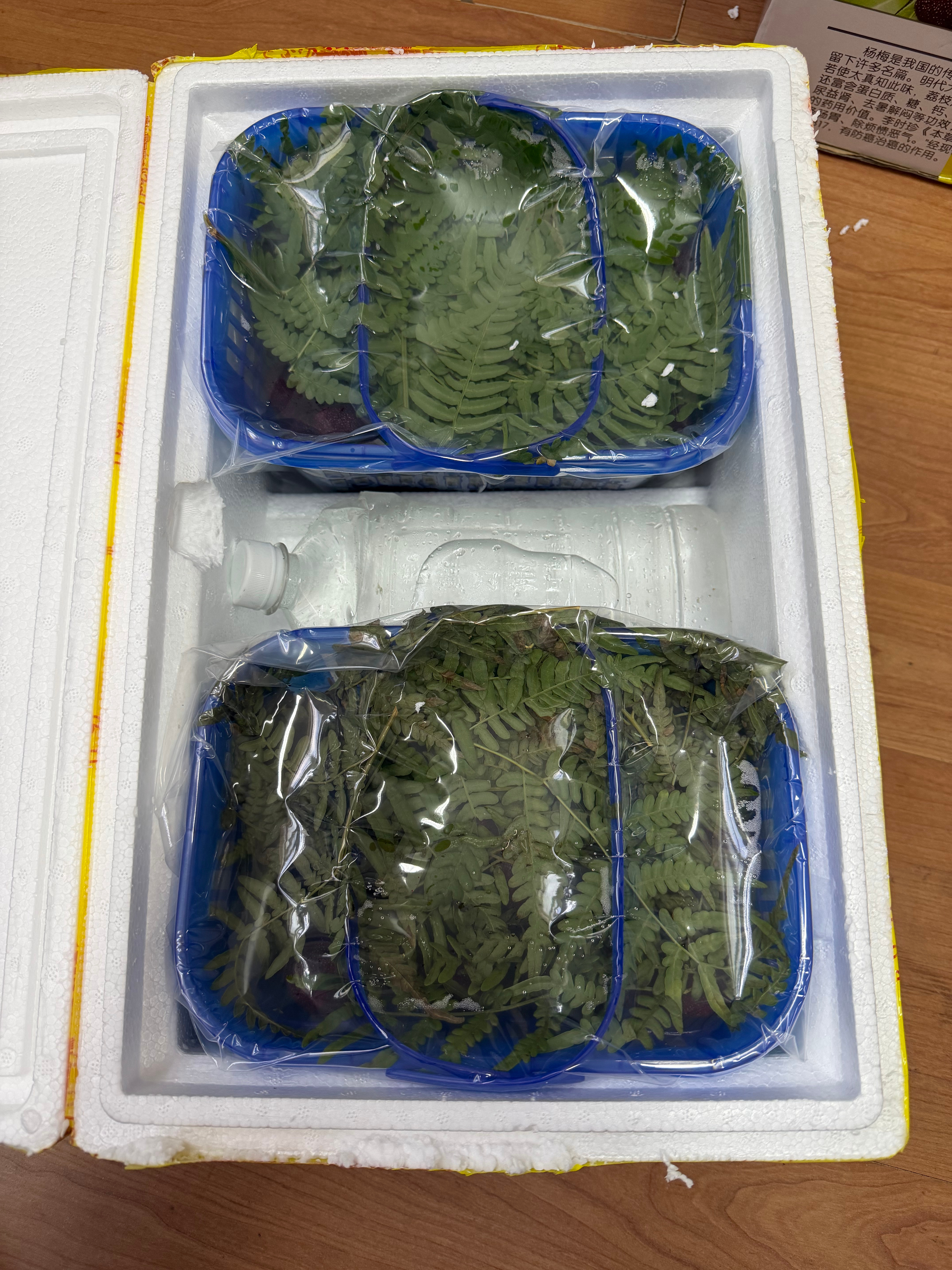 感谢总有朋友记得我也总让我觉得自己是“德不配位”到了夏天，马拉松赛事少了，我的公