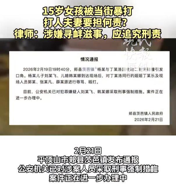 平顶山夫妻暴打15岁女孩涉寻衅滋事，二人已经被刑事拘留。

本来是轻微的交通事故
