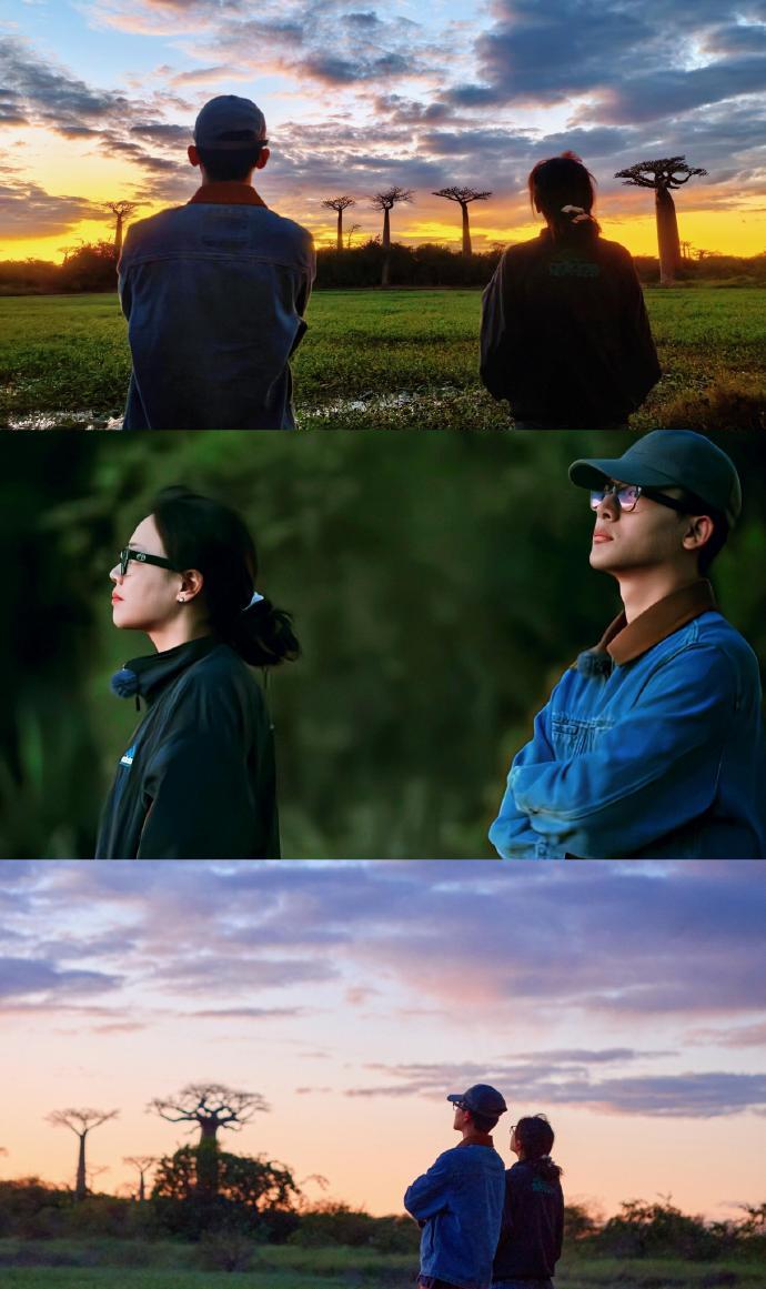 马思纯张晚意的 CP 感源于彼此适配的气质，合作消息曝光后成功出圈，实力演员的联