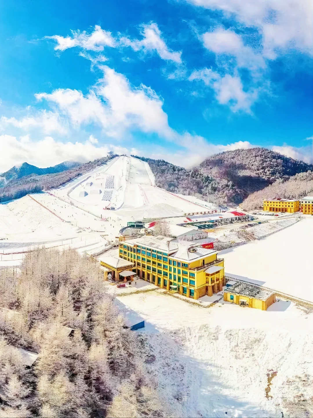 人生建议：12月一定要去神农架滑雪⛷️⛷️