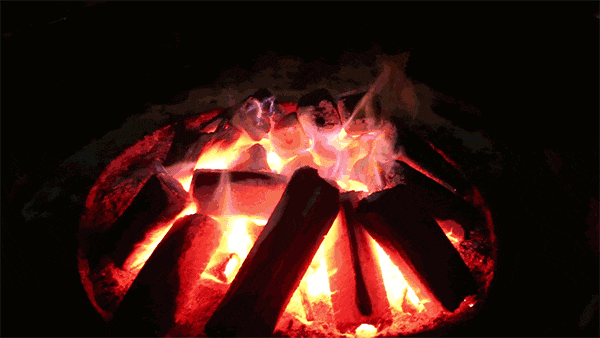 先小火慢烤❄️ 