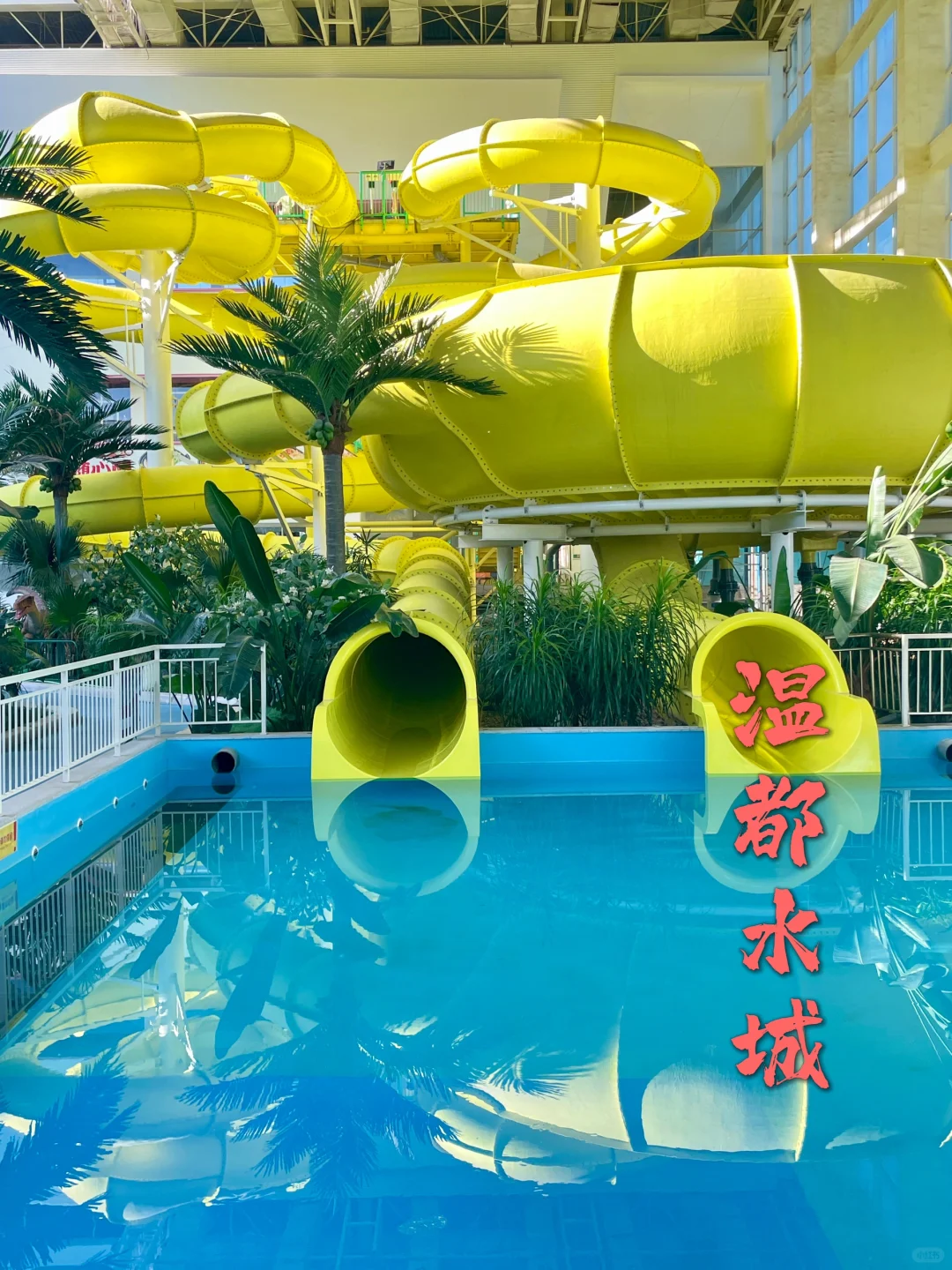 六一遛娃来玩儿水，温都水城太疯啦～