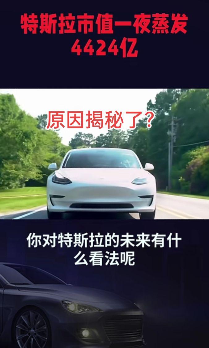 主要原因还是跌跌不休？特斯拉 股票 投资