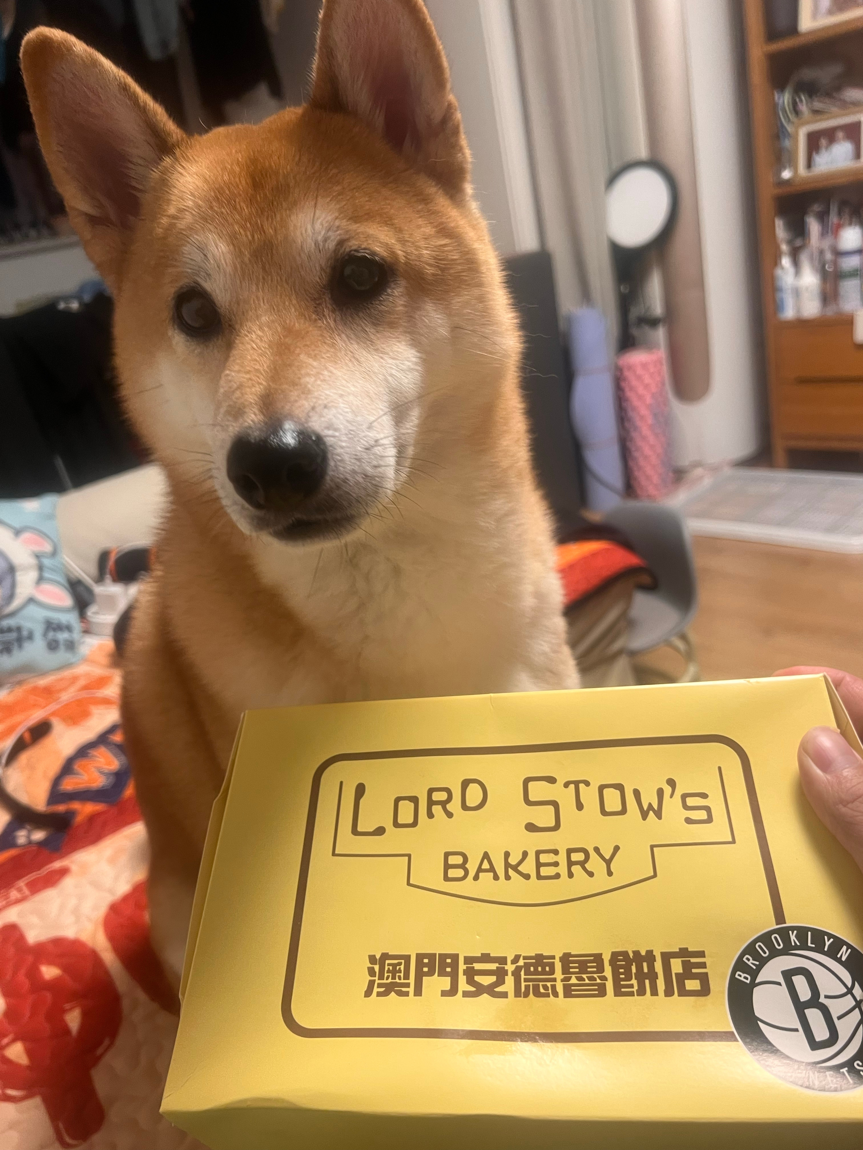 [doge]：澳门蛋挞就是香[赢牛奶] ​​​